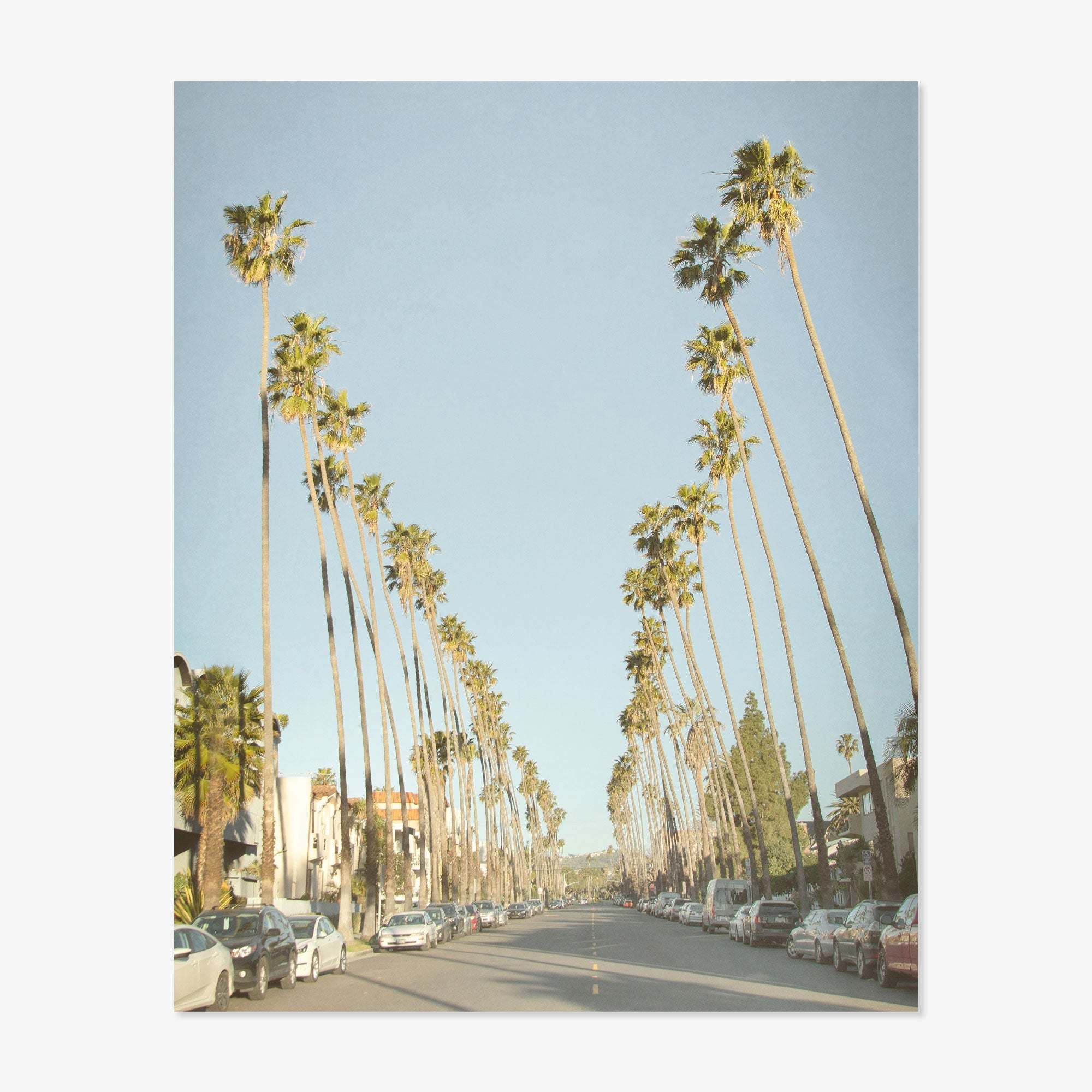 A scenic view of Los Angeles Palm Tree Lined Street &#39;Sunset Boulevard Dreams&#39; lined with tall palm trees under a clear sky, with cars parked along both sides of the road. The setting gives a warm, sunny ambiance by Offley Green.