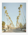 A scenic view of Los Angeles Palm Tree Lined Street 'Sunset Boulevard Dreams' lined with tall palm trees under a clear sky, with cars parked along both sides of the road. The setting gives a warm, sunny ambiance by Offley Green.