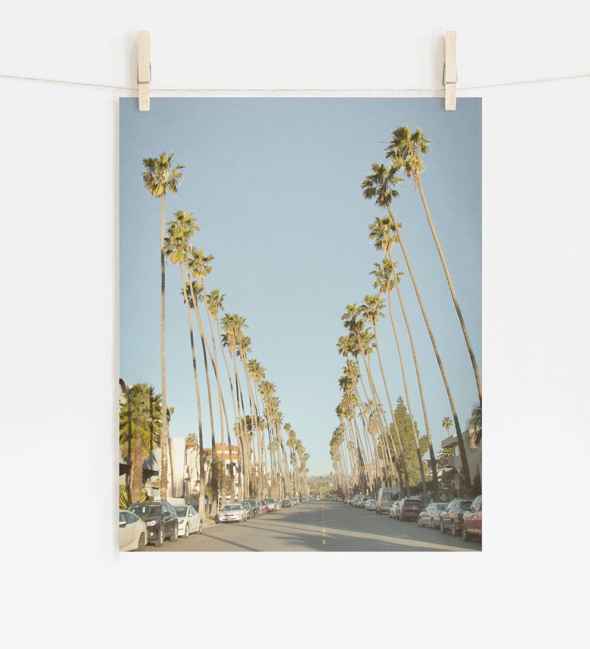 A photograph of a street lined with tall palm trees on Sunset Boulevard under a clear blue sky, pinned up by two clothespins on a wire, against a white background featuring the Los Angeles Palm Tree Lined Street &#39;Sunset Boulevard Dreams&#39; by Offley Green.
