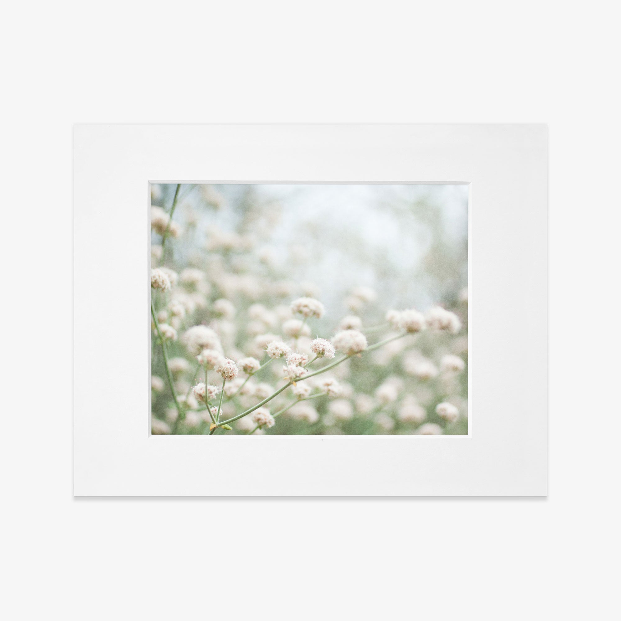 5x7 Botanical Matted Print (Choose from 6 Designs)