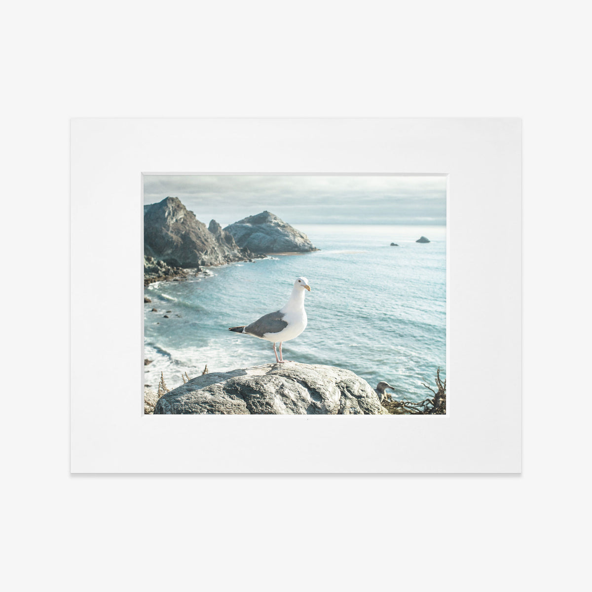 8x10 Coastal Matted Fine Art Print (Choose from 6 Designs)
