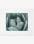 A framed photograph of a Abstract Teal Green Botanical Print, 'Teal Petals', printed on archival photographic paper, against a white background.