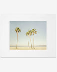 A framed photograph of four tall palm trees on Venice Beach under a clear sky. The image has a vintage, sun-bleached look, adding a nostalgic feel. The product name is California Venice Beach Print, 'Boardwalk Palms' by Offley Green.