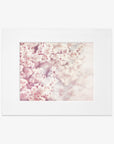 Framed Pink Floral Print of delicate cherry blossoms in full bloom on archival photographic paper, with a soft focus on shabby pink and white flowers, presenting a dreamy, springtime aesthetic by Offley Green.