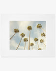 8x10 California Matted Fine Art Print (Choose from 9 Designs)