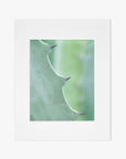 A minimalist square white frame on a white background, featuring a centered Offley Green 'Aloe Vera Spikes II' green botanical print as the focal art piece.