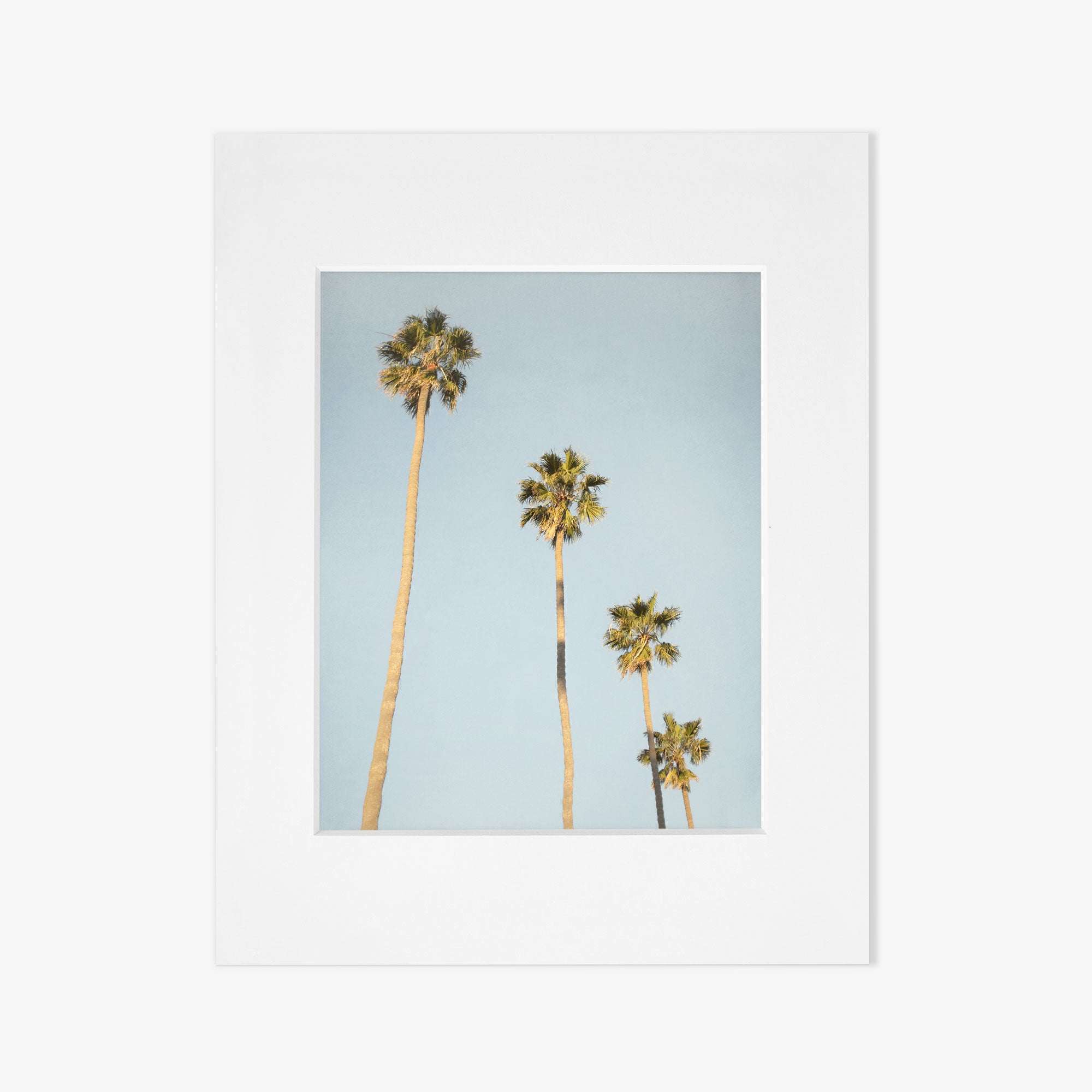 A plain white square frame with a smaller, centered grey square area featuring an Offley Green Los Angeles Palm Tree Photographic Print &#39;Palm Stairs to Heaven&#39;, set against a white background, giving a minimalist and modern appearance.