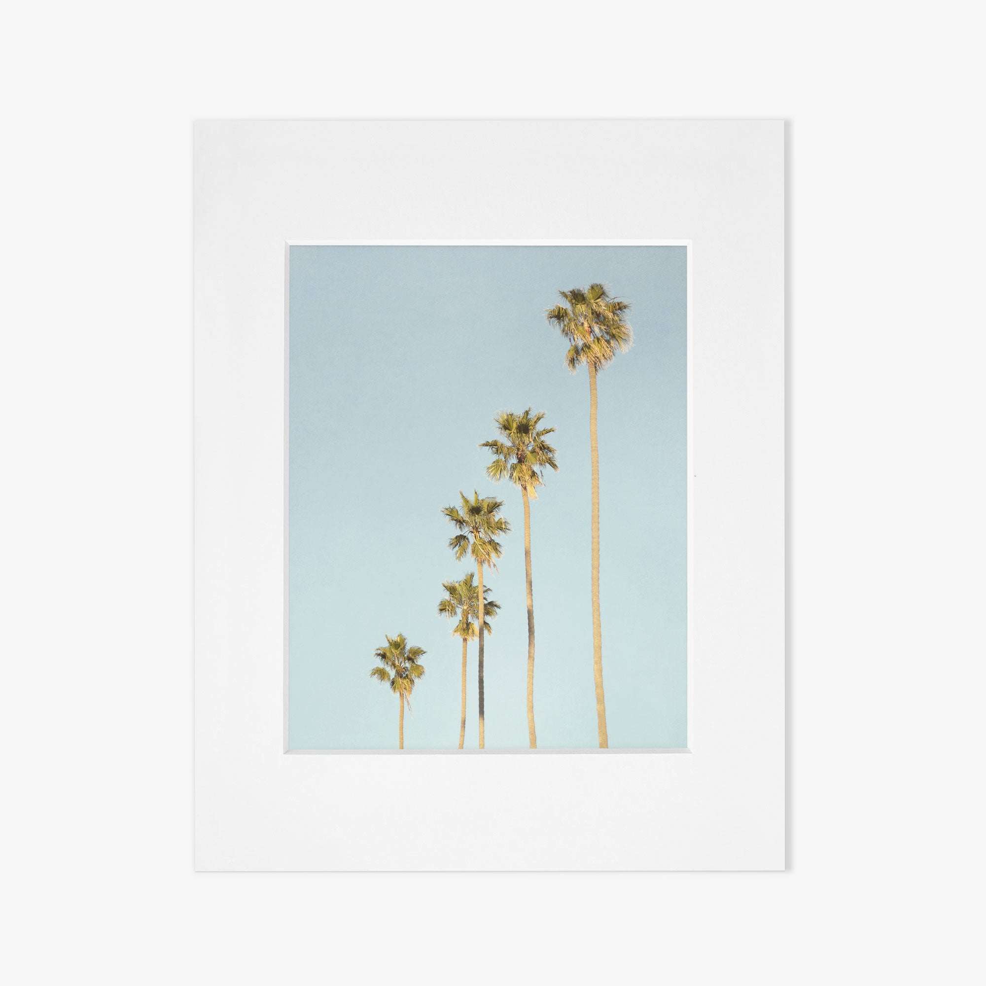 A simple white square picture frame with a large white border and a gray placeholder featuring an Offley Green Los Angeles Palm Tree Photographic Print &#39;Palm Tree Steps&#39;, set against a white background.