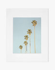 A simple white square picture frame with a large white border and a gray placeholder featuring an Offley Green Los Angeles Palm Tree Photographic Print 'Palm Tree Steps', set against a white background.