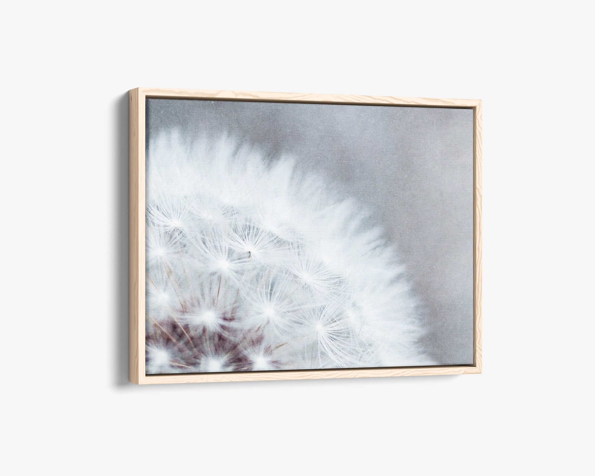 Grey Botanical Canvas Wall Art, &#39;Dandelion Queen&#39;