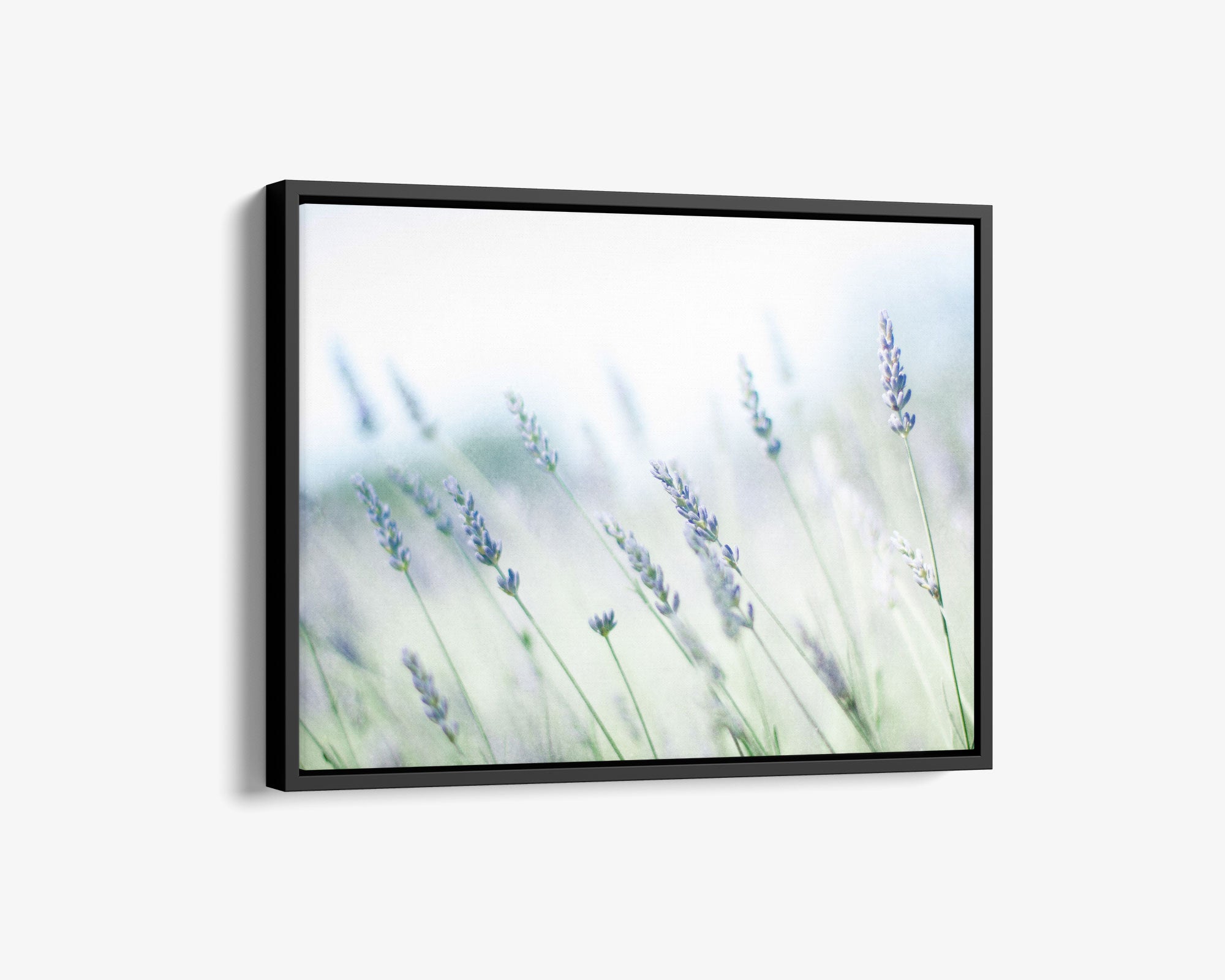 A Rustic Farmhouse Canvas Wall Art piece depicting a soft focus image of lavender plants, conveying a gentle and tranquil ambiance, hung against a plain white background.