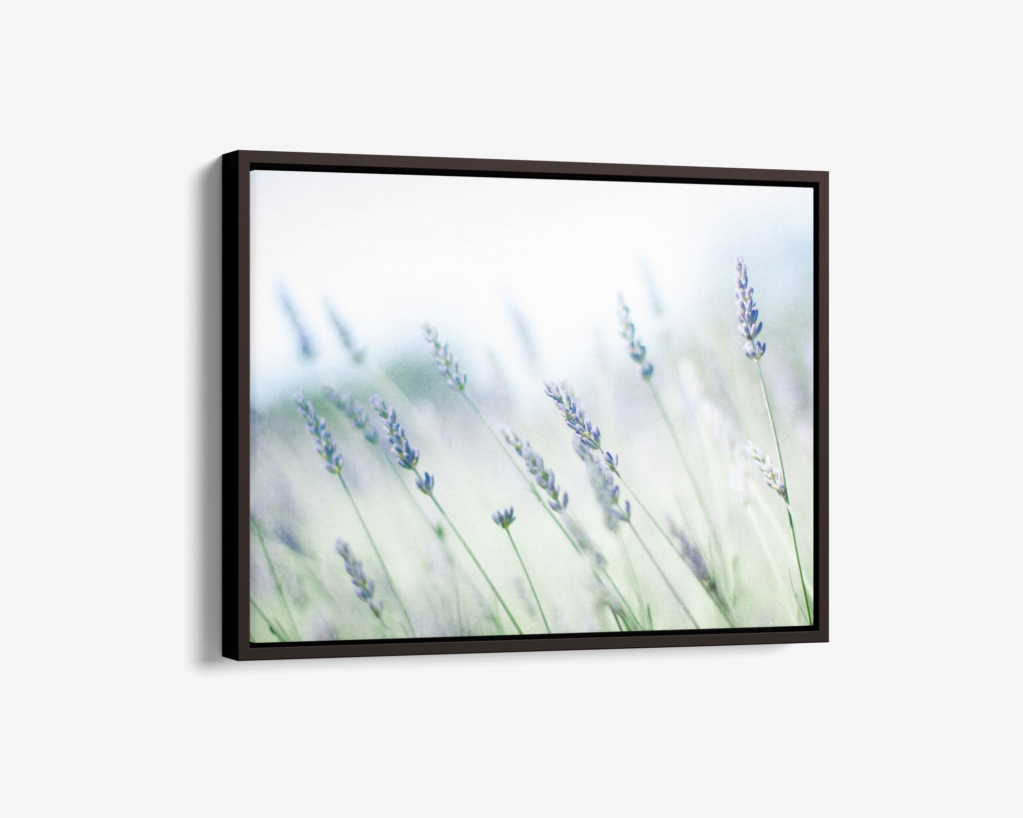 Framed art on a wall depicting a soft-focused image of lavender flowers in a field, conveying a calm and serene atmosphere. This Offley Green Rustic Farmhouse Canvas Wall Art, &#39;Buds of Lavender&#39; showcases the gentle beauty of lavender farm wall art.