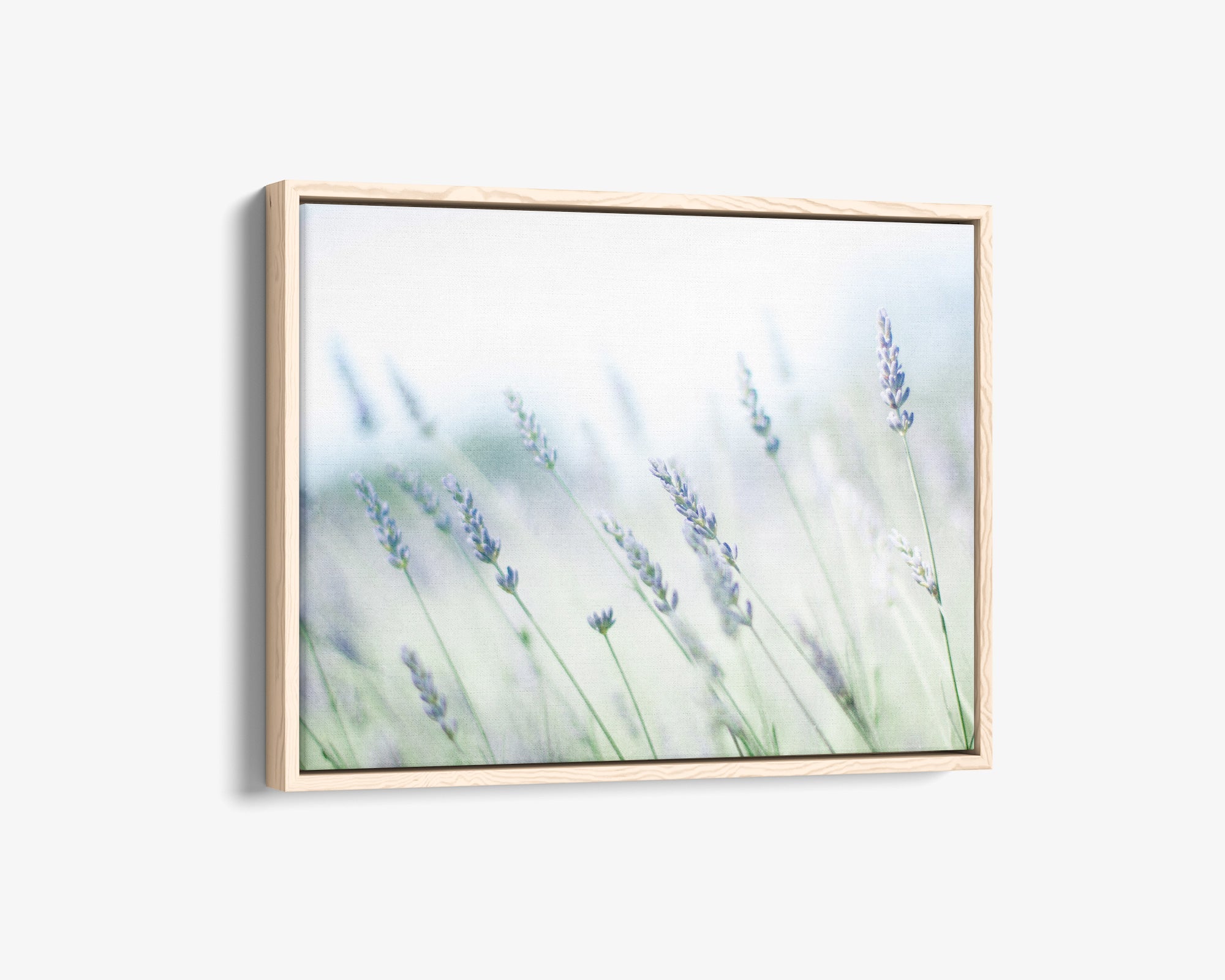 Rustic Farmhouse Canvas Wall Art, &#39;Buds of Lavender&#39;