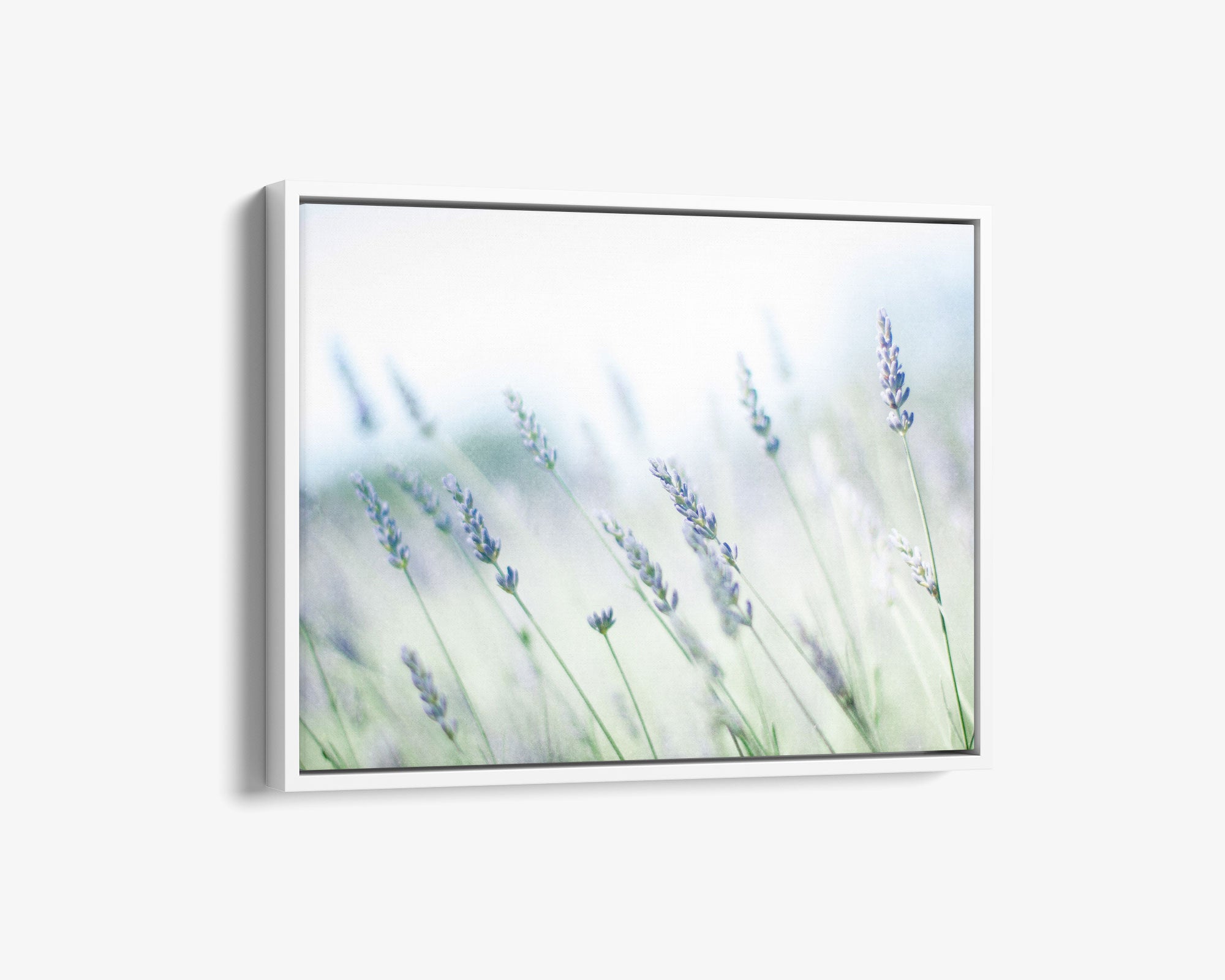 A framed Offley Green rustic farmhouse canvas wall art featuring &#39;Buds of Lavender&#39; gently swaying, with a soft focus background in soothing green and blue tones.