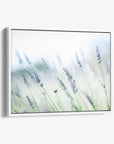 A framed Offley Green rustic farmhouse canvas wall art featuring 'Buds of Lavender' gently swaying, with a soft focus background in soothing green and blue tones.