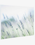 A Rustic Farmhouse Canvas Wall Art by Offley Green featuring a soft-focused image of lavender flowers in a field, highlighted by a gentle, glowing light creating a serene and dreamy atmosphere.