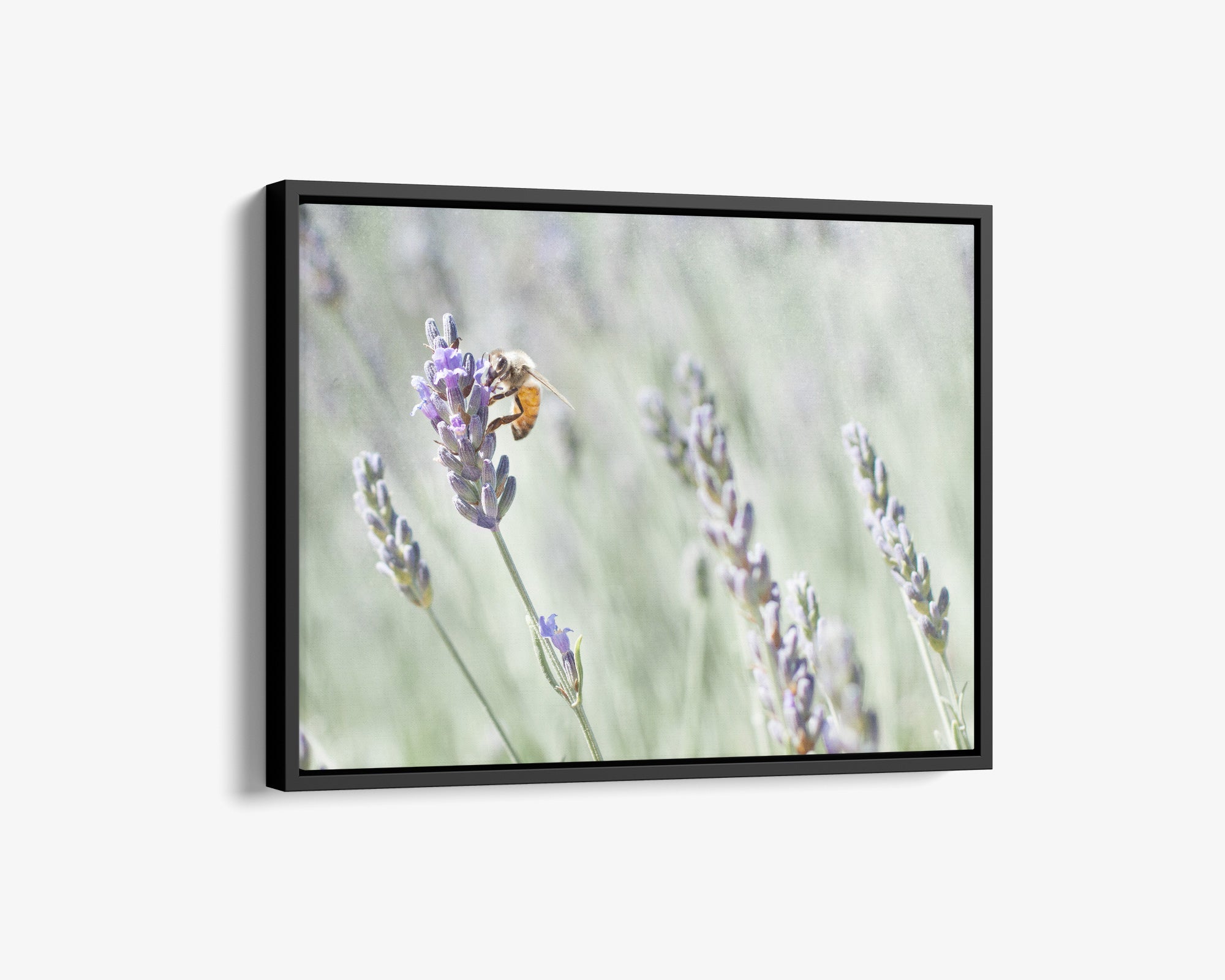 Rustic Canvas Wall Art, &#39;Lavender for Bees&#39;
