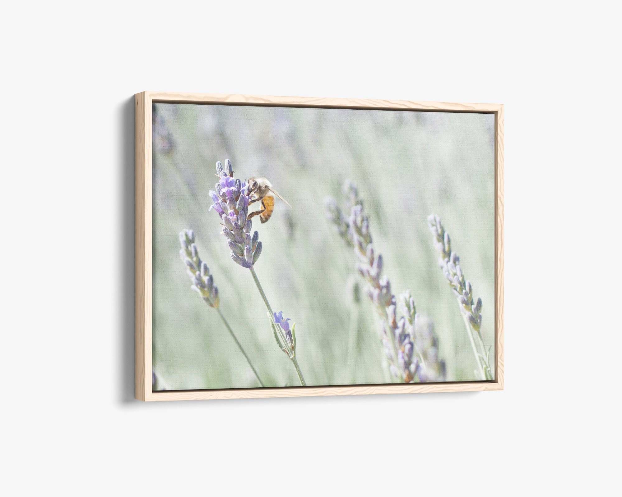 lavender plant wall art Rustic Canvas Wall Art, 'Lavender for Bees' by Offley Green