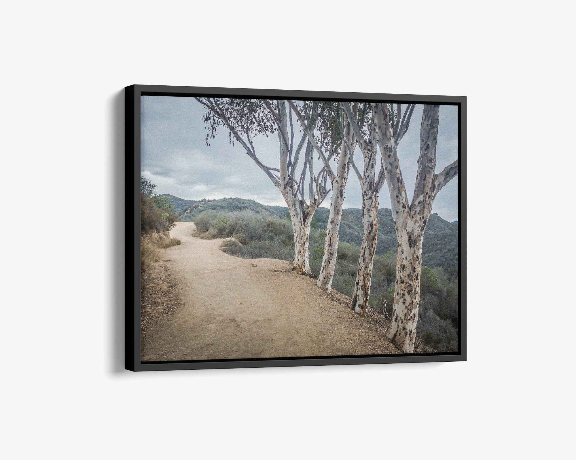 Santa Monica Mountains Pacific Palisade Canvas Wall Art, &#39;A Storm at Will Rogers&#39;
