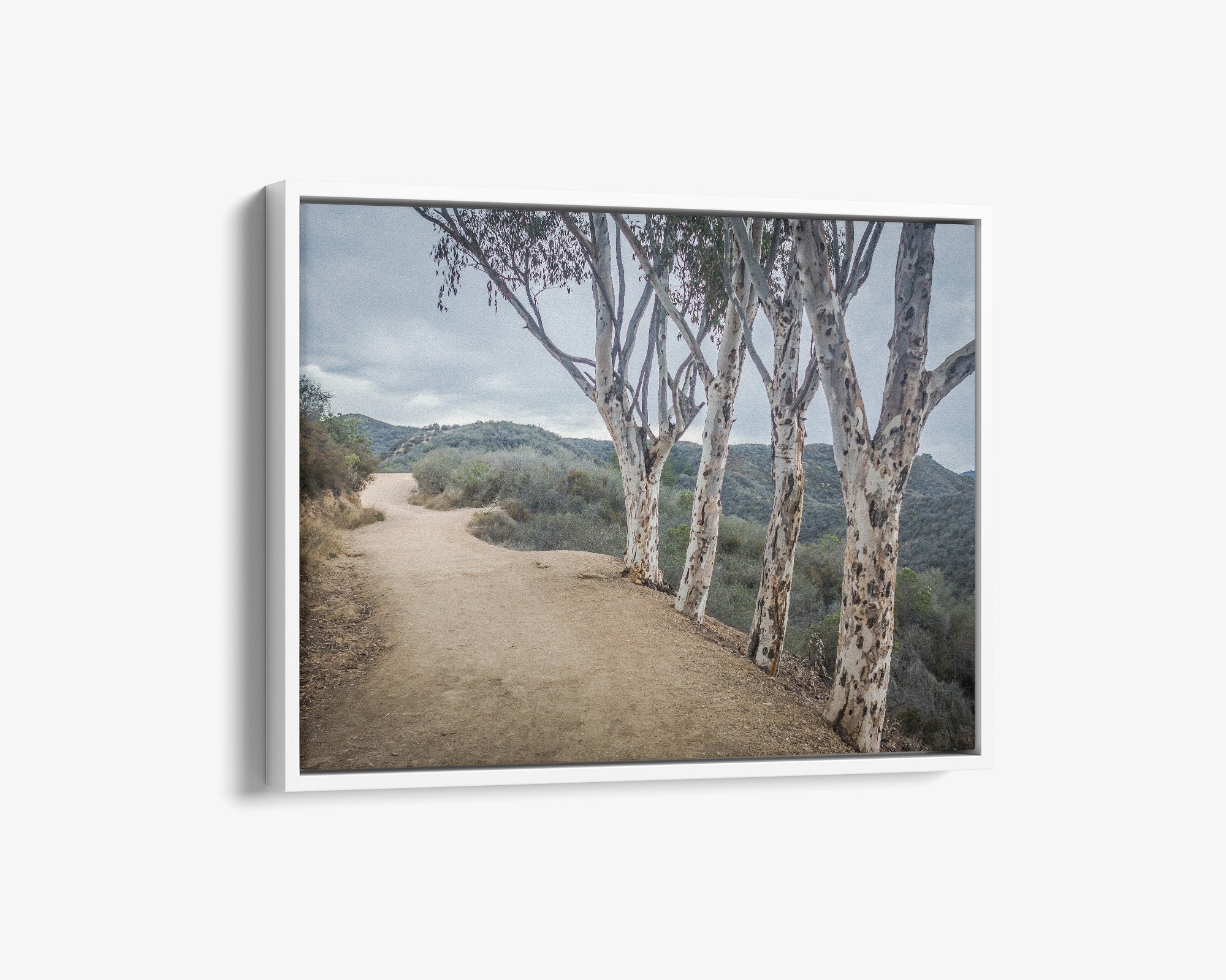 Santa Monica Mountains Pacific Palisade Canvas Wall Art, &#39;A Storm at Will Rogers&#39;