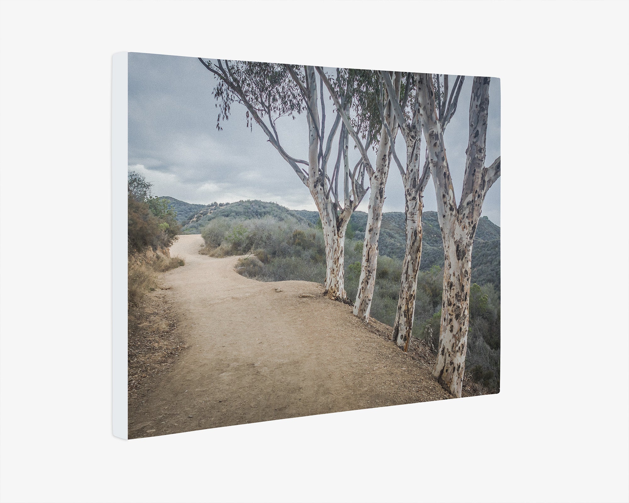 Santa Monica Mountains Pacific Palisade Canvas Wall Art, &#39;A Storm at Will Rogers&#39;