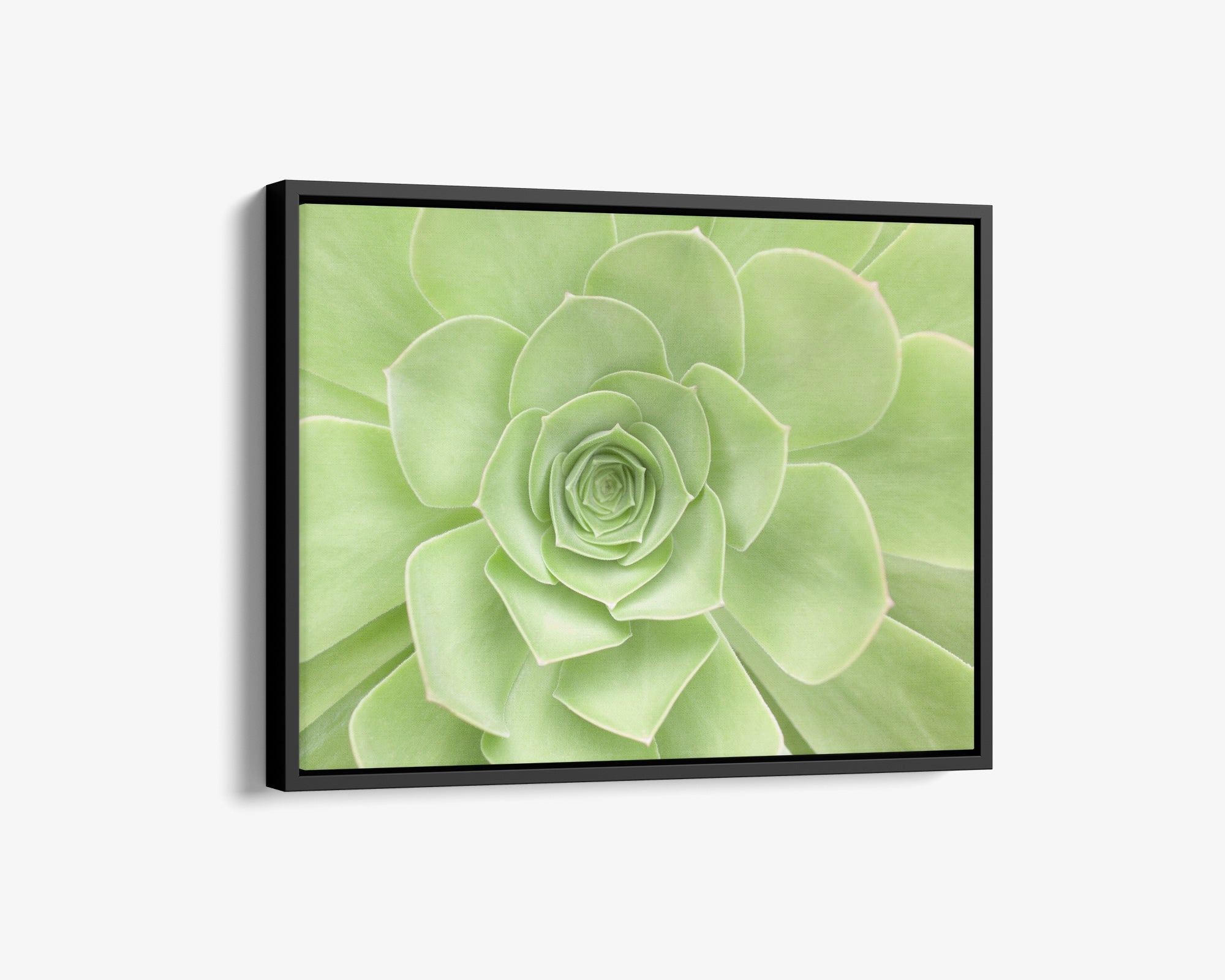 Sage Green Wall Art, &#39;Succulent Heart&#39;