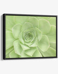 Sage Green Wall Art, 'Succulent Heart'