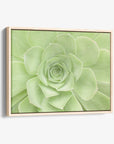 Sage Green Wall Art, 'Succulent Heart'