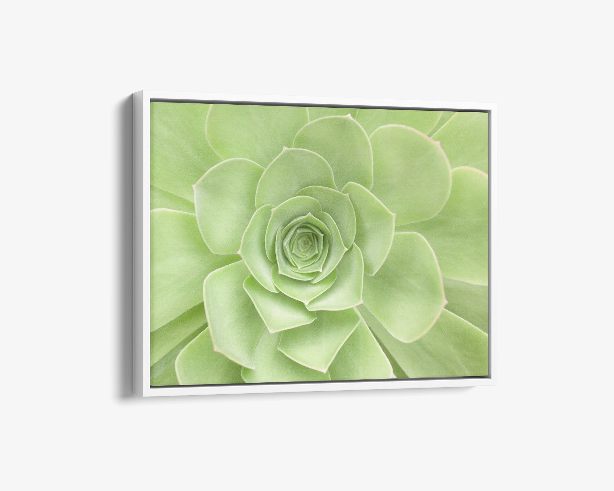 Sage Green Wall Art, &#39;Succulent Heart&#39;