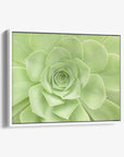 Sage Green Wall Art, 'Succulent Heart'