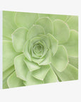 Sage Green Wall Art, 'Succulent Heart'