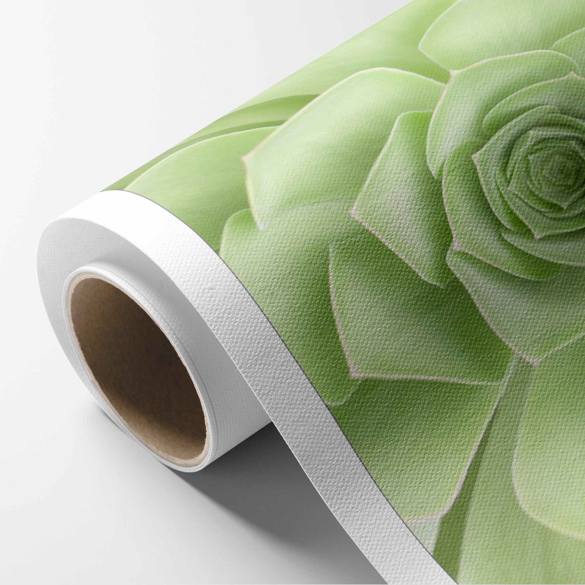 Sage Green Wall Art, &#39;Succulent Heart&#39;