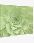 Sage Green Wall Art, 'Succulent Heart'