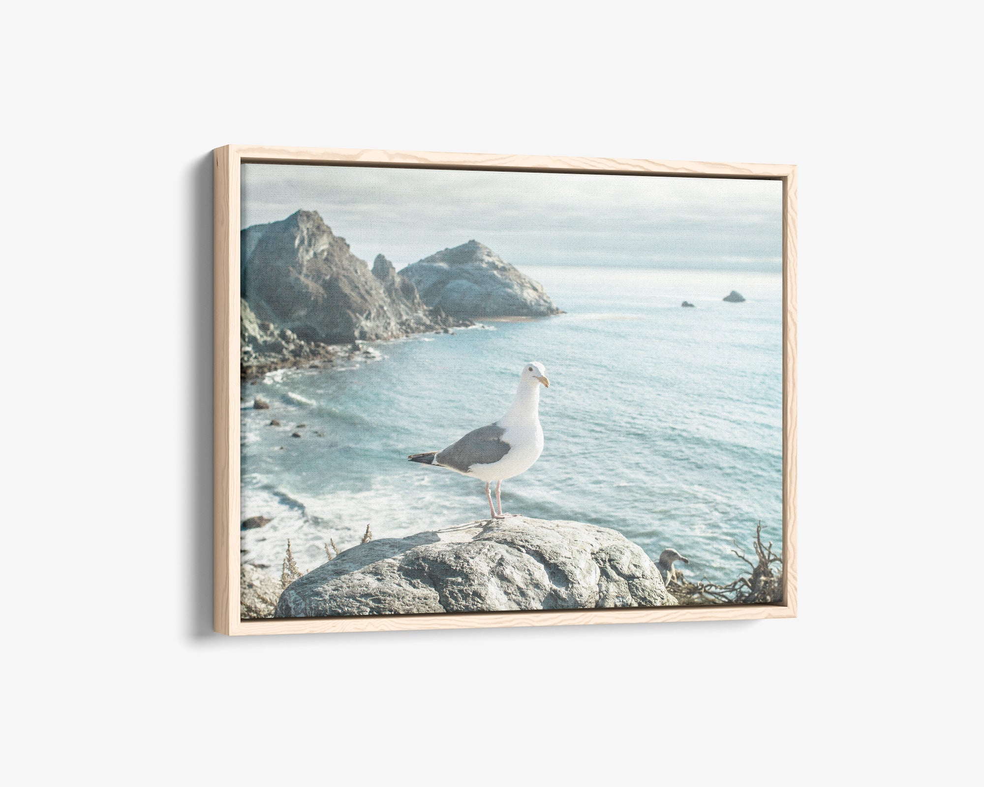Coastal Wall Art, Big Sur Seagull Canvas Wrap in multiple print
