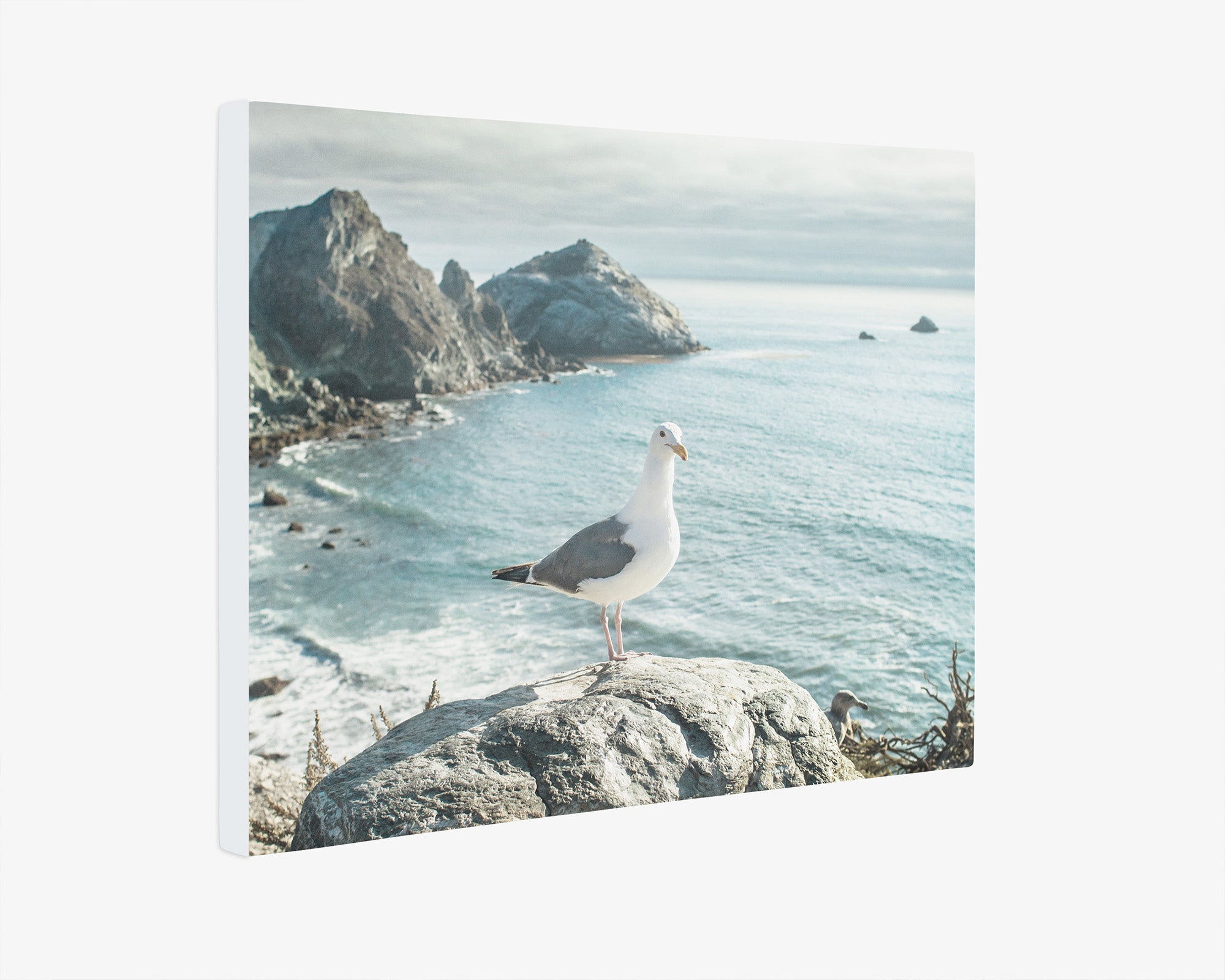 Coastal Wall Art, Big Sur Seagull Canvas Wrap in multiple print
