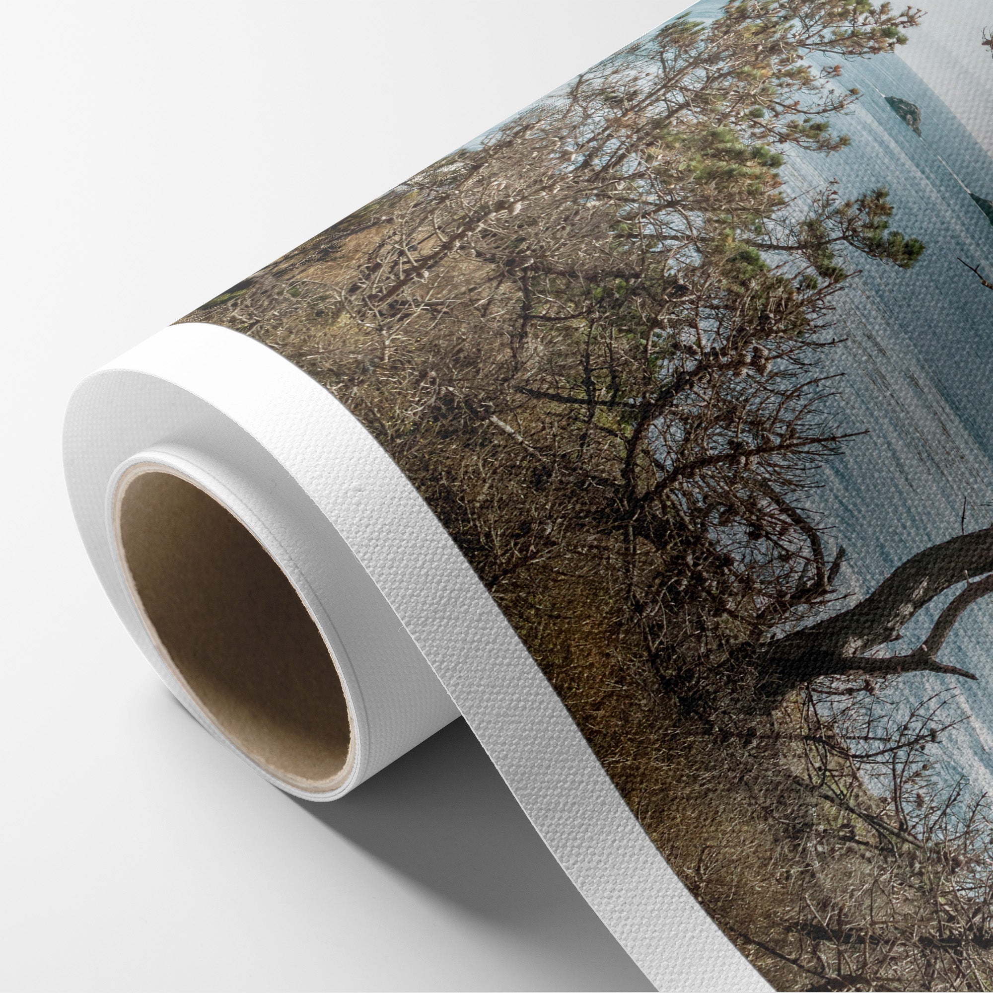 California Landscape Canvas Art in Big Sur, &#39;Wind Blown Tree&#39;