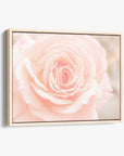 Pink Rose Canvas Wall Art, 'Pink and Shabby'