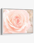 Pink Rose Canvas Wall Art, 'Pink and Shabby'