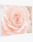 Pink Rose Canvas Wall Art, 'Pink and Shabby'
