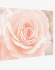 Pink Rose Canvas Wall Art, 'Pink and Shabby'