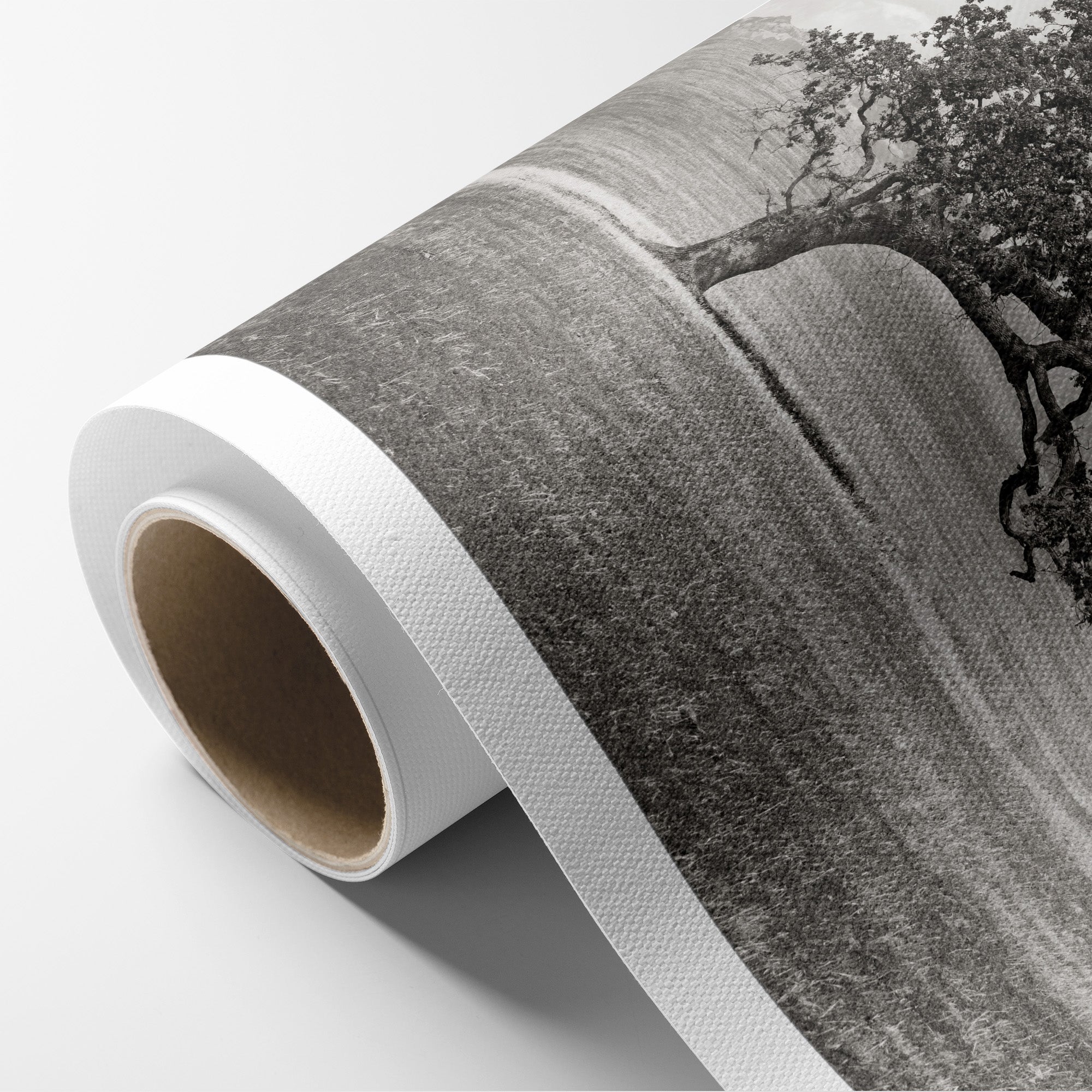 Californian Oak Tree Landscape Canvas, &#39;Windswept (Black and White)&#39;