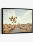 Joshua Tree Canvas Wall Art, 'Path to Joshua'
