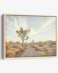Joshua Tree Canvas Wall Art, 'Path to Joshua'
