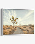 Joshua Tree Canvas Wall Art, 'Path to Joshua'