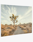 Joshua Tree Canvas Wall Art, 'Path to Joshua'