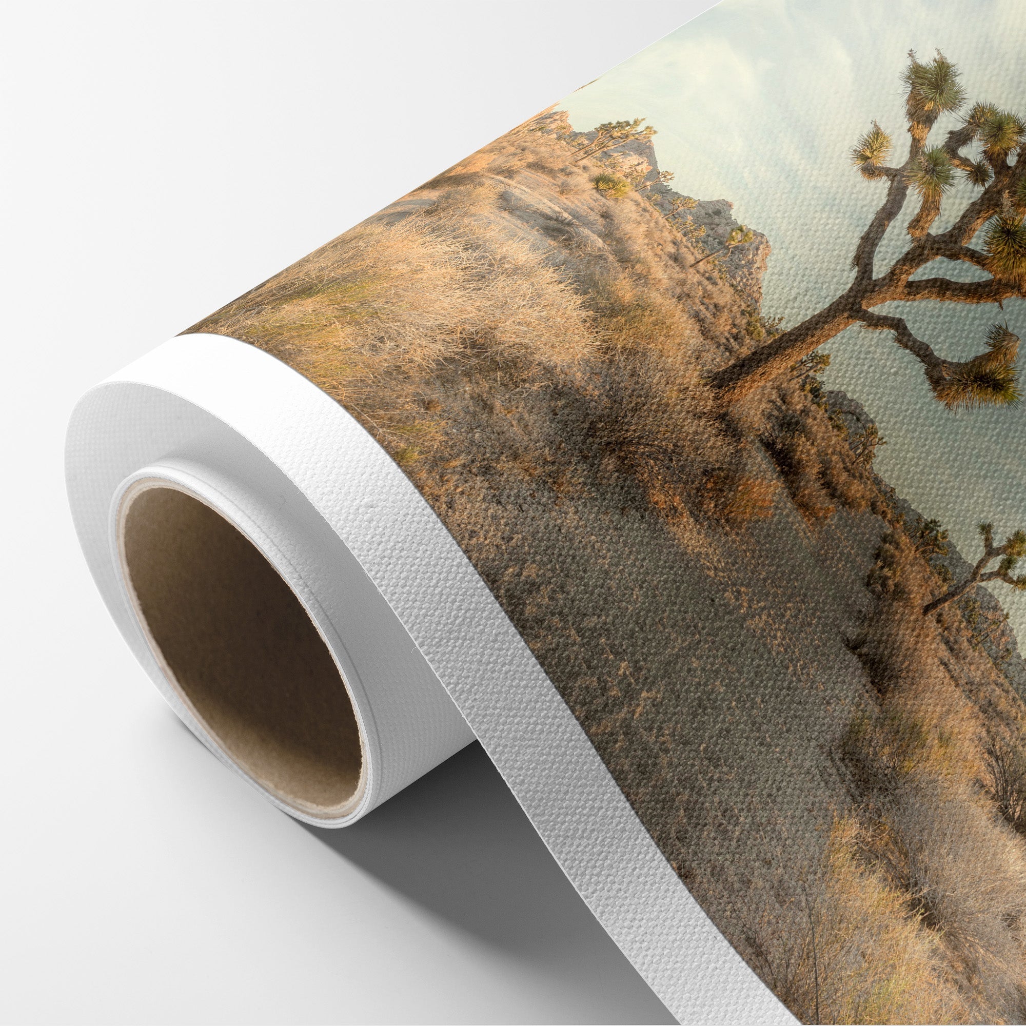 Joshua Tree Canvas Wall Art, &#39;Path to Joshua&#39;