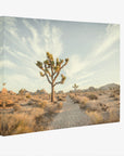 Joshua Tree Canvas Wall Art, 'Path to Joshua'