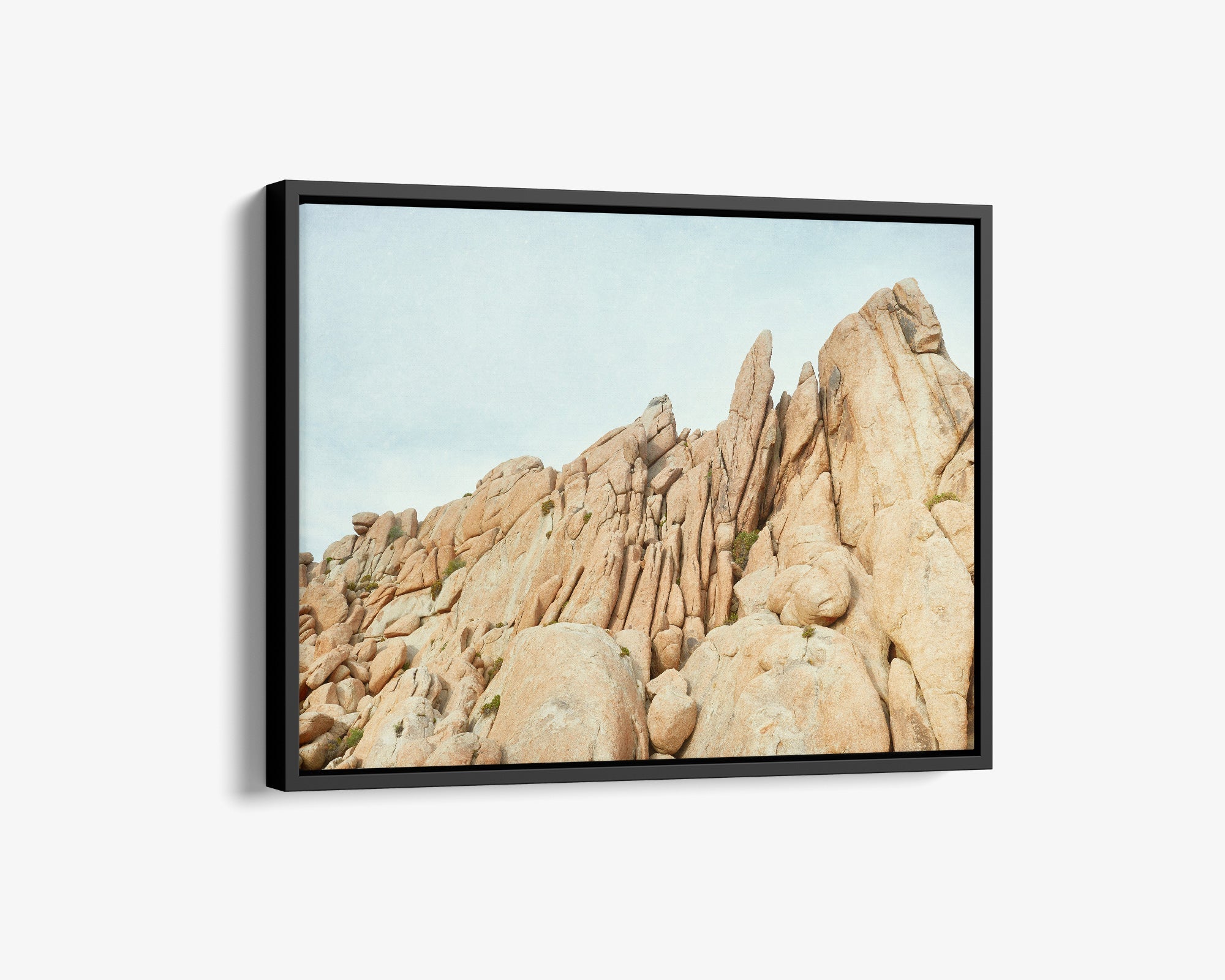 Joshua Tree Canvas Wall Art, &#39;Joshua Rocks&#39;