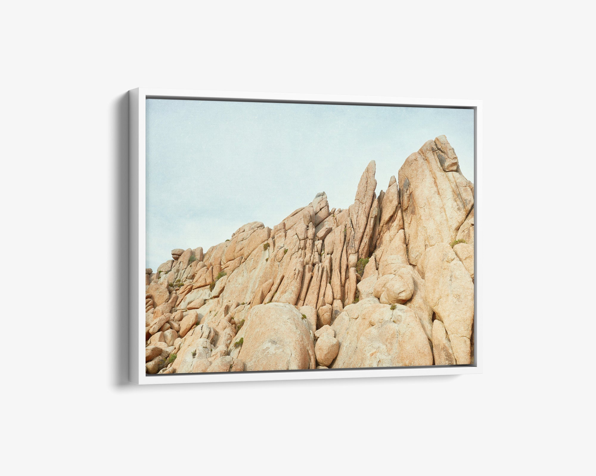 Joshua Tree Canvas Wall Art, &#39;Joshua Rocks&#39;