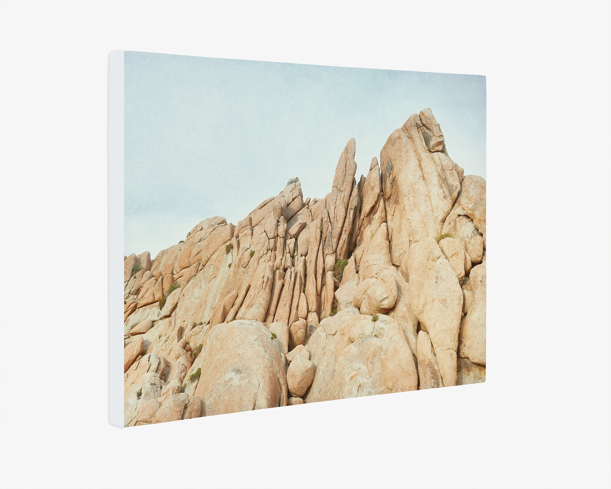 Joshua Tree Canvas Wall Art, &#39;Joshua Rocks&#39;